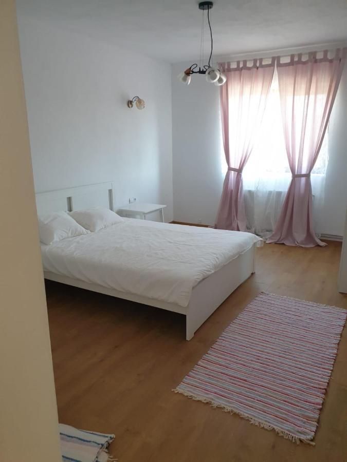 Casuta De La Munte Hotel Sfodea Ngoại thất bức ảnh