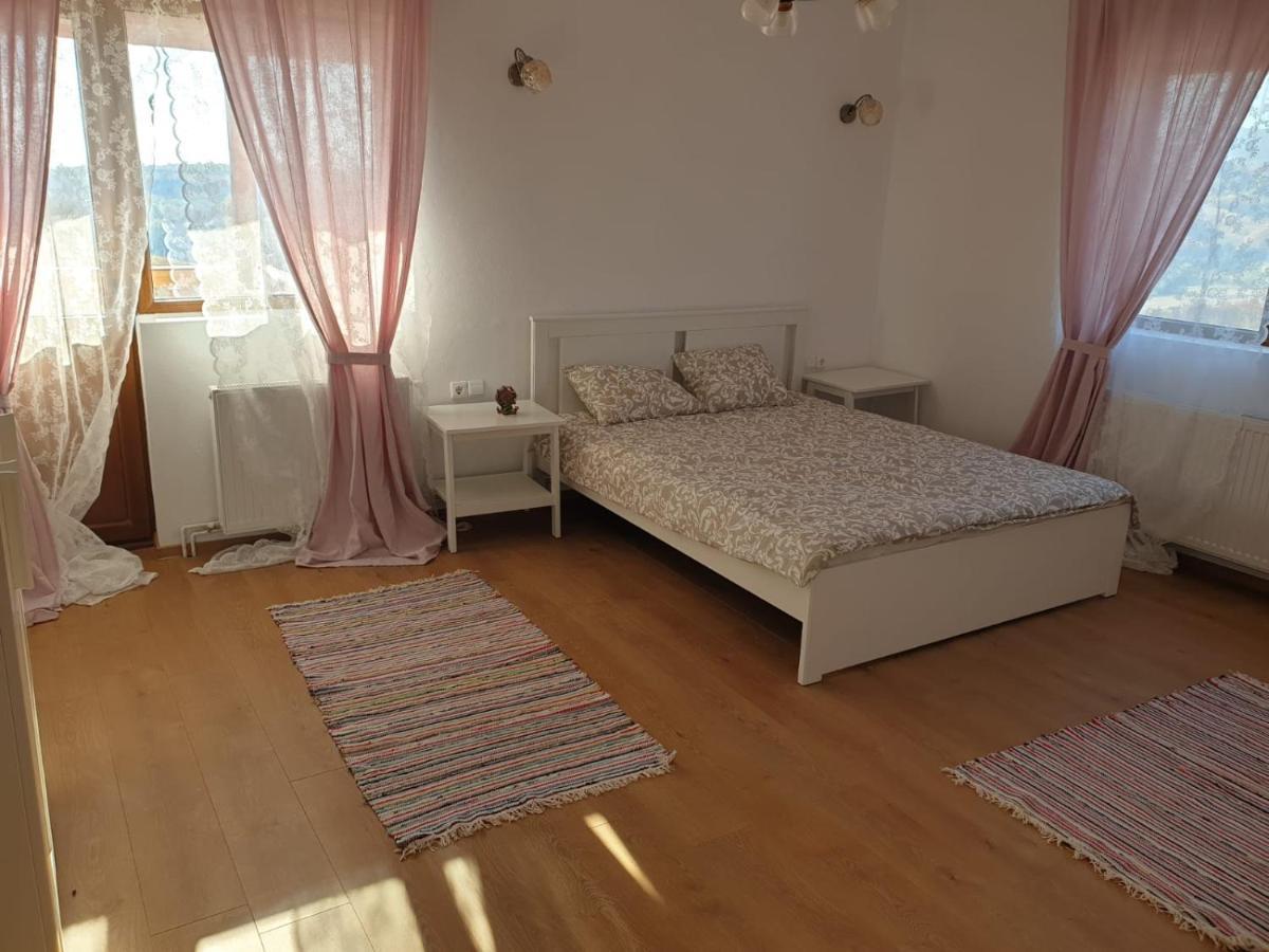 Casuta De La Munte Hotel Sfodea Ngoại thất bức ảnh
