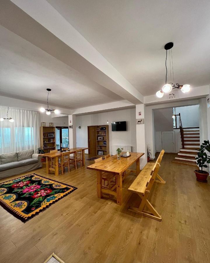Casuta De La Munte Hotel Sfodea Ngoại thất bức ảnh